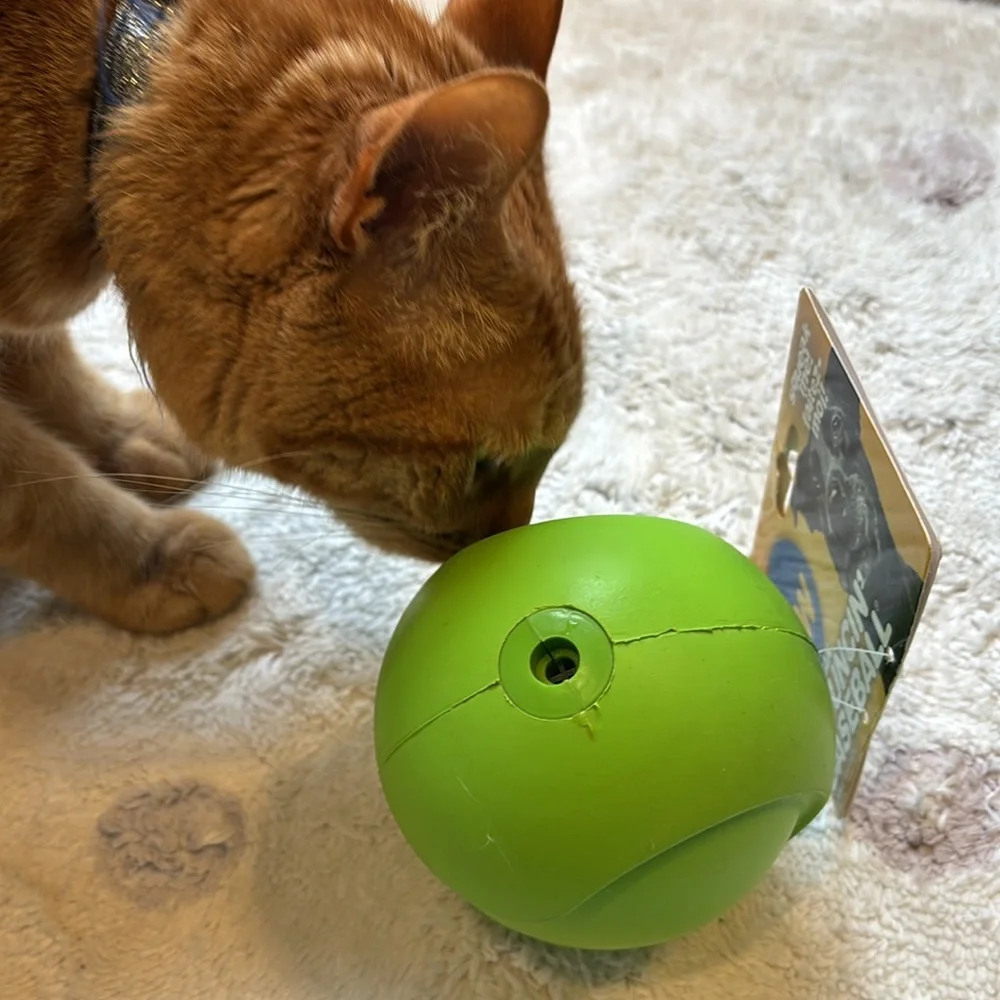 JW Pet Company chosen as